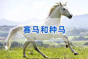 台州马类动物鉴定